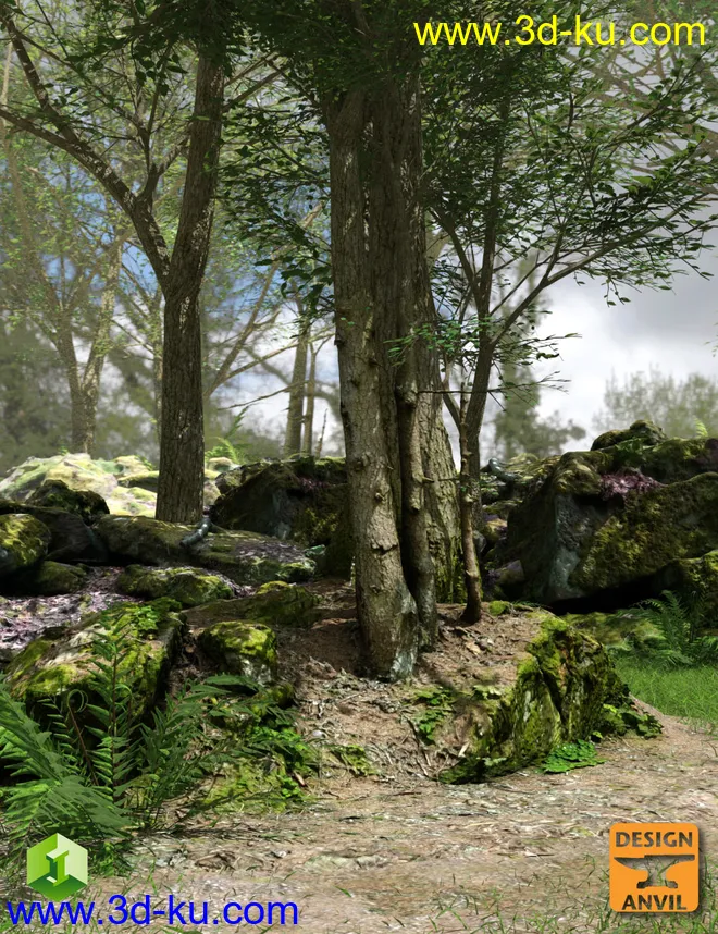 DA Forest Grove模型的图片1
