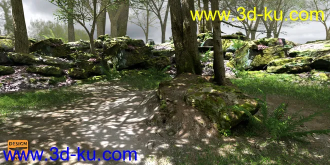 DA Forest Grove模型的图片4