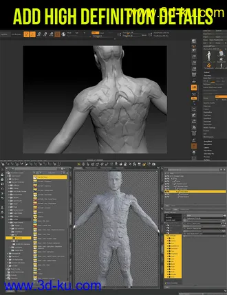 3D打印模型Daz Character Setup for Artists Part 3的图片