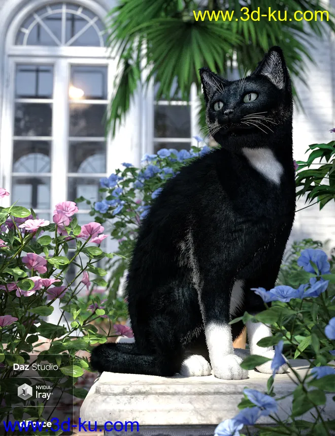 Daz House Cat with dForce Hair模型的图片1