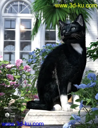 3D打印模型Daz House Cat with dForce Hair的图片