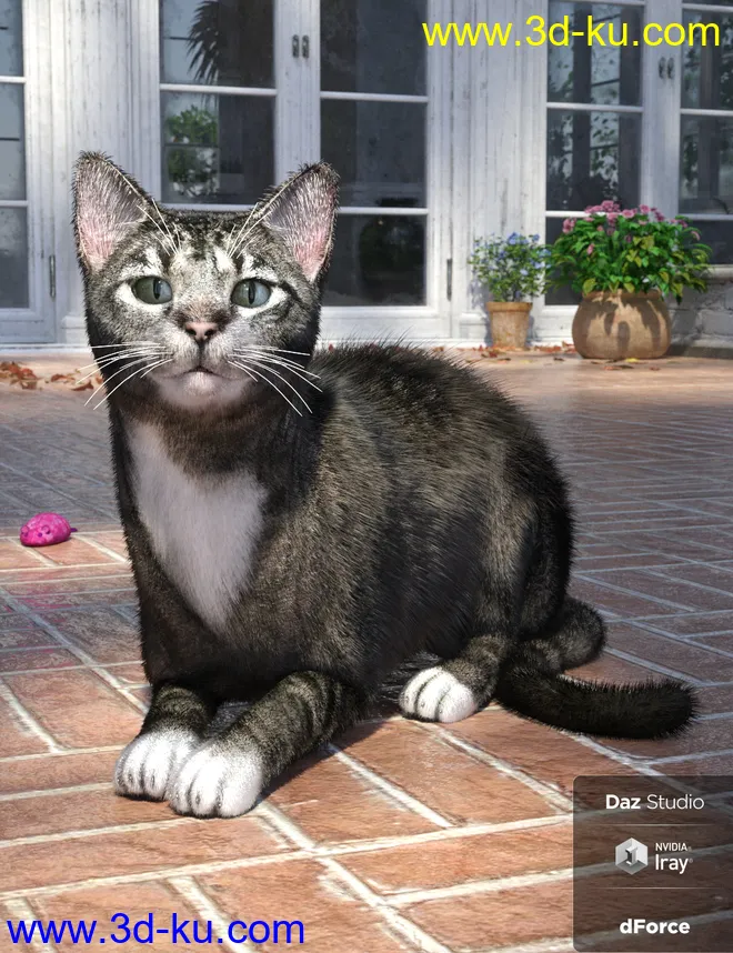 Daz House Cat with dForce Hair模型的图片2