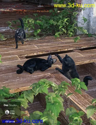 3D打印模型Daz House Cat with dForce Hair的图片