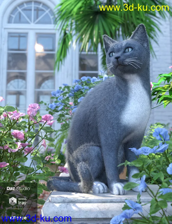 Daz House Cat with dForce Hair模型的图片5
