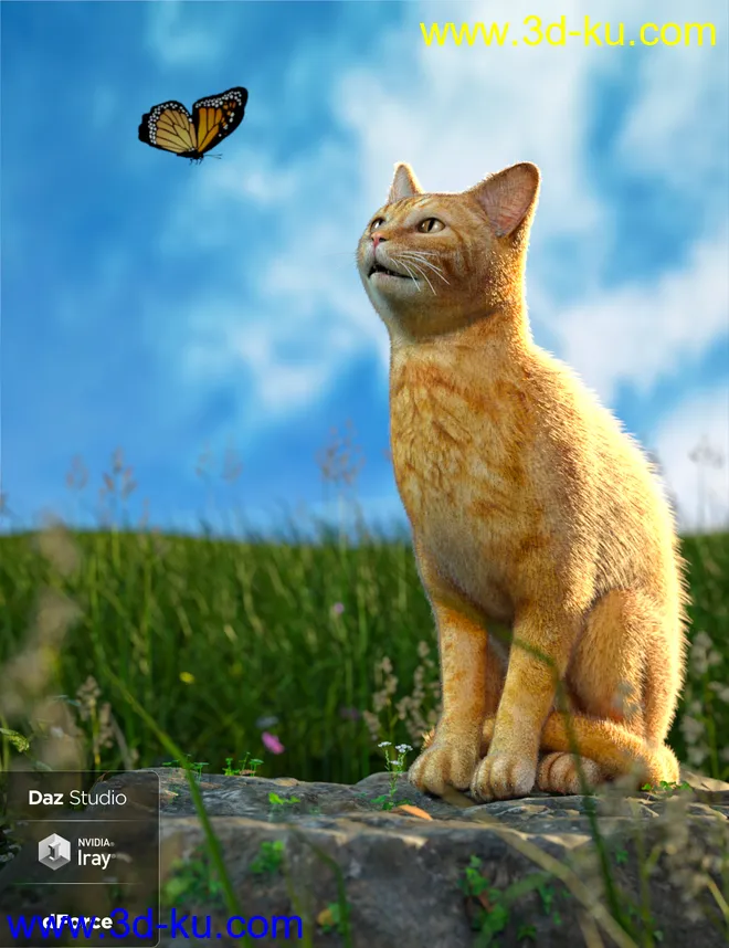 Daz House Cat with dForce Hair模型的图片6