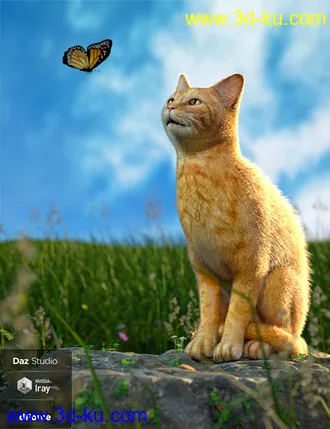 3D打印模型Daz House Cat with dForce Hair的图片