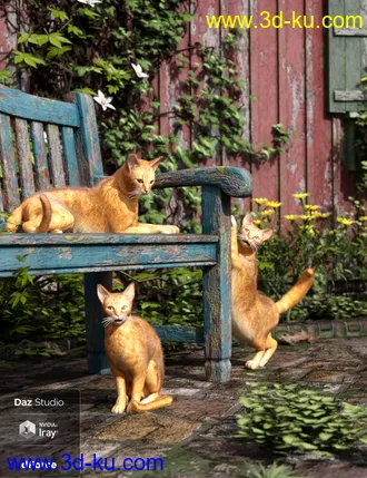 3D打印模型Daz House Cat with dForce Hair的图片