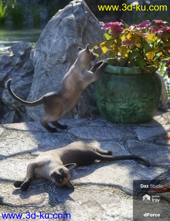 Daz House Cat with dForce Hair模型的图片8