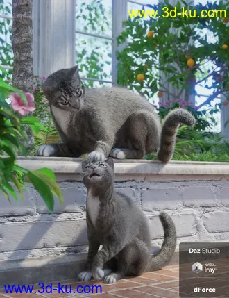 3D打印模型Daz House Cat with dForce Hair的图片