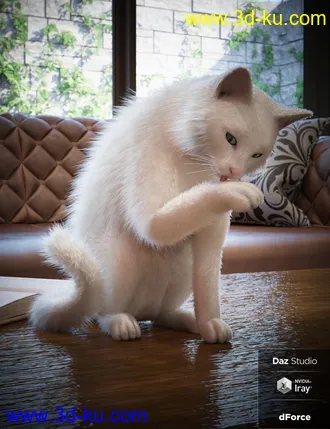 3D打印模型Daz House Cat with dForce Hair的图片