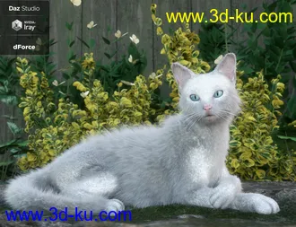 3D打印模型Daz House Cat with dForce Hair的图片