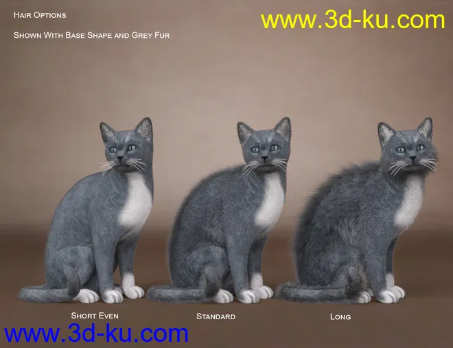Daz House Cat with dForce Hair模型的图片12