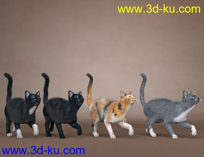 Daz House Cat with dForce Hair模型的图片13