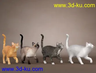 3D打印模型Daz House Cat with dForce Hair的图片