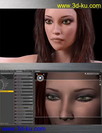 3D打印模型Daz Studio Eye Contact的图片