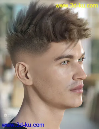 3D打印模型dForce Bristol Hair for Genesis 8的图片