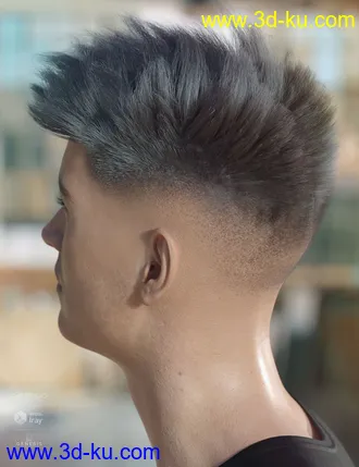 3D打印模型dForce Bristol Hair for Genesis 8的图片