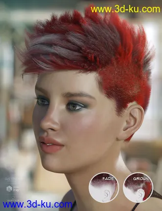 3D打印模型dForce Bristol Hair for Genesis 8的图片