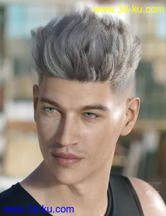 3D打印模型dForce Bristol Hair for Genesis 8的图片