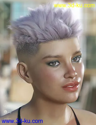 3D打印模型dForce Bristol Hair for Genesis 8的图片