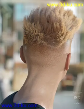 3D打印模型dForce Bristol Hair for Genesis 8的图片