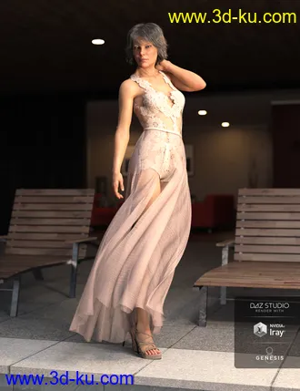 3D打印模型dForce Chantilly Chic Outfit for Genesis 8 Female(s)的图片