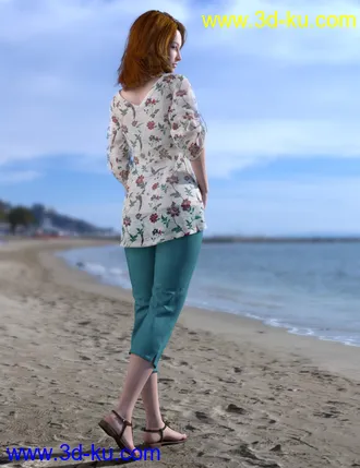 3D打印模型dForce Collection 01 - Casual Pants & Blouse for Genesis 8 Female(s)的图片