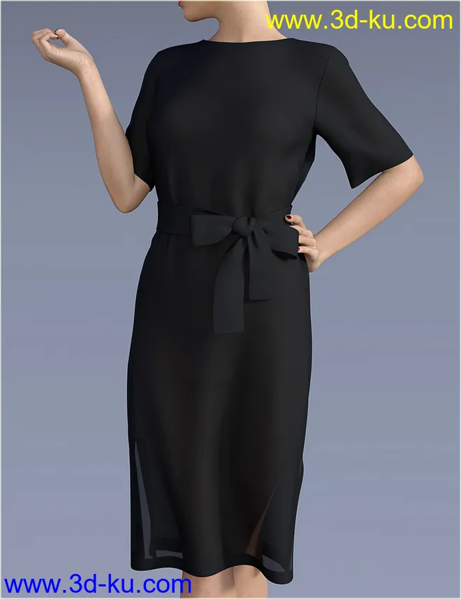 dForce H&C Belted Dress Outfit for Genesis 8 Female(s)模型的图片7