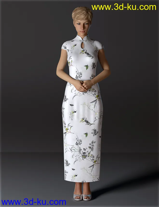 dForce H&C Long Qipao Dress for Genesis 8 Female(s)模型的图片1