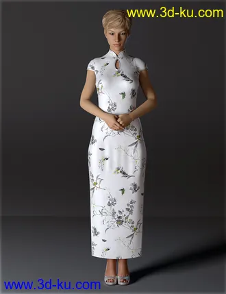 3D打印模型dForce H&C Long Qipao Dress for Genesis 8 Female(s)的图片