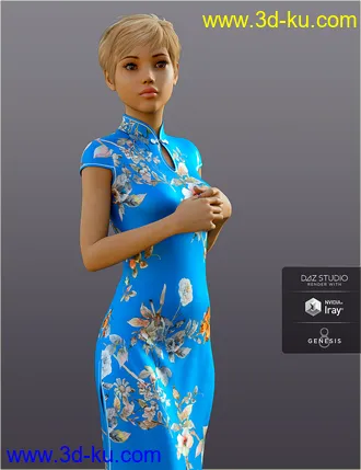 3D打印模型dForce H&C Long Qipao Dress for Genesis 8 Female(s)的图片