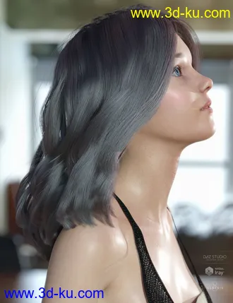 3D打印模型dForce Kay Hair for Genesis 3 and 8 Female(s)的图片