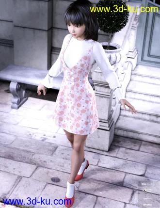 3D打印模型dForce Loose Silhouette Onepiece for Genesis 8 Female(s)的图片