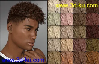 3D打印模型DG Iray 200 Hair Color Shaders and Merchant Resource的图片