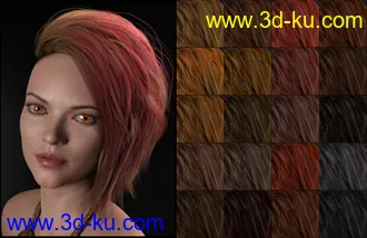 3D打印模型DG Iray 200 Hair Color Shaders and Merchant Resource的图片