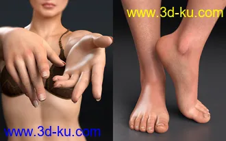 3D打印模型Domino HD for Genesis 3 & 8 Female的图片