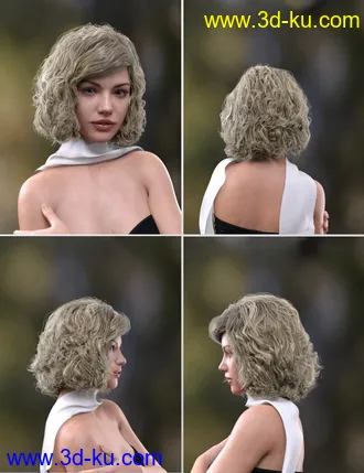 3D打印模型Fedora Bob Hair for Genesis 3 and 8 Female(s)的图片