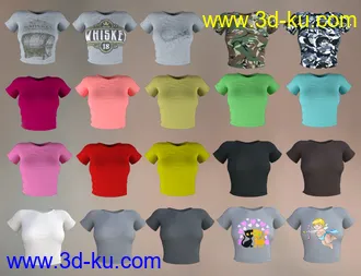 3D打印模型FG T-Shirt and Shorts for Genesis 8 Female(s)的图片