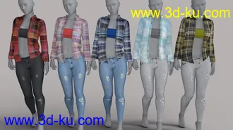 3D打印模型FGF Flannel and Jeans Outfit for Genesis 8 Female(s)的图片