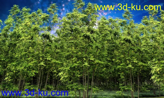 Forests Trees and Grass World Building Set模型的图片8