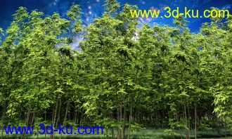 3D打印模型Forests Trees and Grass World Building Set的图片