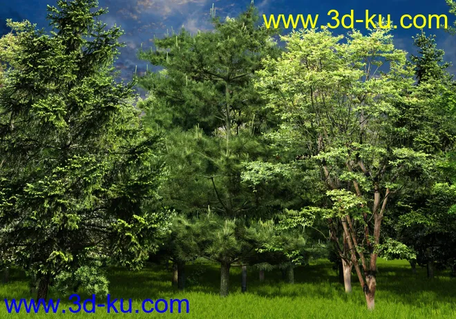 Forests Trees and Grass World Building Set模型的图片12