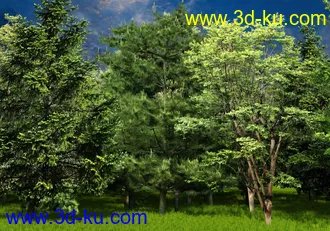 3D打印模型Forests Trees and Grass World Building Set的图片