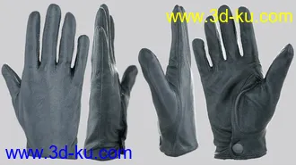 3D打印模型Glove-a-Licious for Genesis 8 Female(s) and FBX的图片