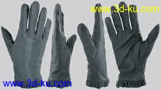 3D打印模型Glove-a-Licious for Genesis 8 Female(s) and FBX的图片
