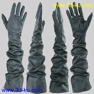 3D打印模型Glove-a-Licious for Genesis 8 Female(s) and FBX的图片