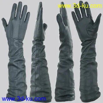 3D打印模型Glove-a-Licious for Genesis 8 Female(s) and FBX的图片