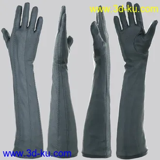 3D打印模型Glove-a-Licious for Genesis 8 Female(s) and FBX的图片