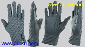 3D打印模型Glove-a-Licious for Genesis 8 Female(s) and FBX的图片