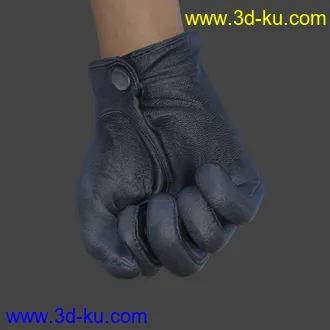 3D打印模型Glove-a-Licious for Genesis 8 Female(s) and FBX的图片